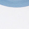 White with Blue Trim