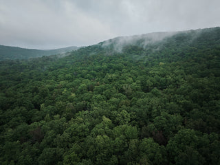 Forested hills under a cloudy sky
