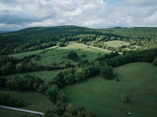 Aerial view of a lush green landscape with rolling hills and fields.
