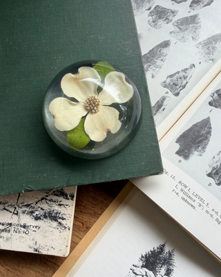 A clear oval resin keepsake or bookmark featuring a pressed white flower with green leaves, resting on a dark green book cover over an open book with vintage maps.