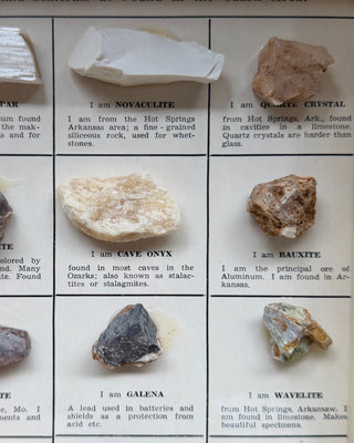 Vintage 1960s Rocks & Minerals Shadow Box