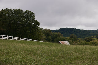 Grassy field with a white fence and trees under a cloudy sky