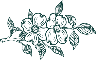 green illustration of a dogwood branch